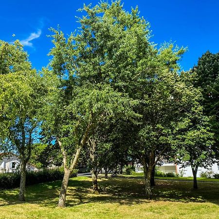 T3 Moderne Avec Balcon Terrasse Et Parking Gratuit Apartment Niort Exterior photo